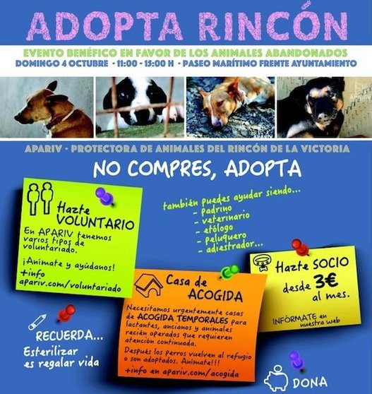 Adopta Rincón
