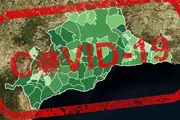 Incidencia Covid-19 en M&aacute;laga