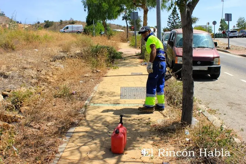 Medio Ambiente comienza a limpiar Parque Victoria