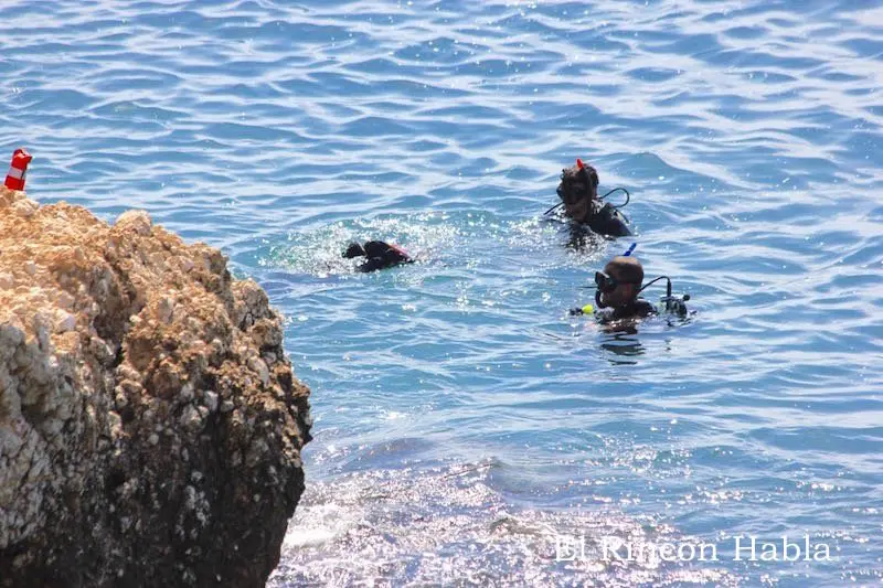 Limpieza submarina fondos someros de acantilados y  La Cala - 18 de junio de 2017 - 15 de 47