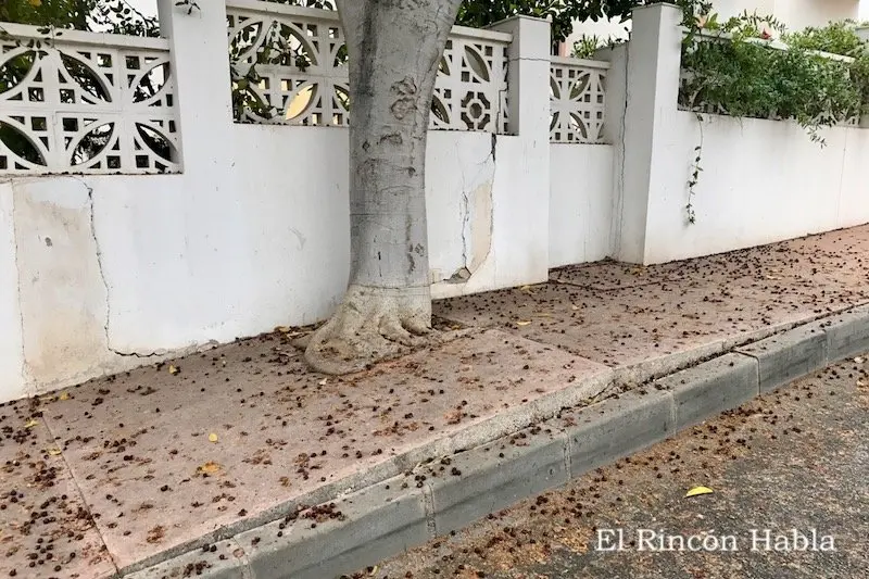 Calle Estados Unidos - Añoreta