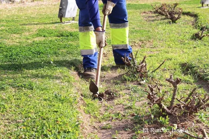 Mantenimiento de jardines