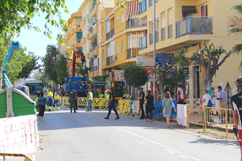 Tala de árboles en la avenida de Málaga, La Cala del Moral