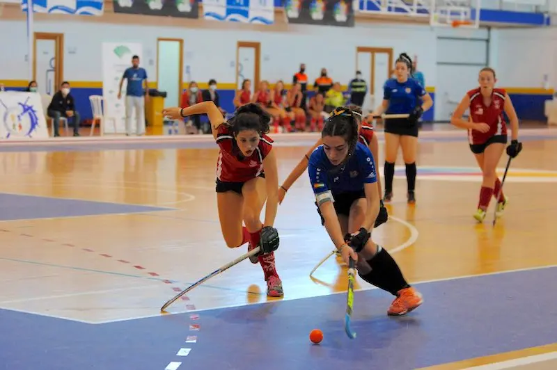 Un momento de un partido de Hockey del pasado mes de diciembre.