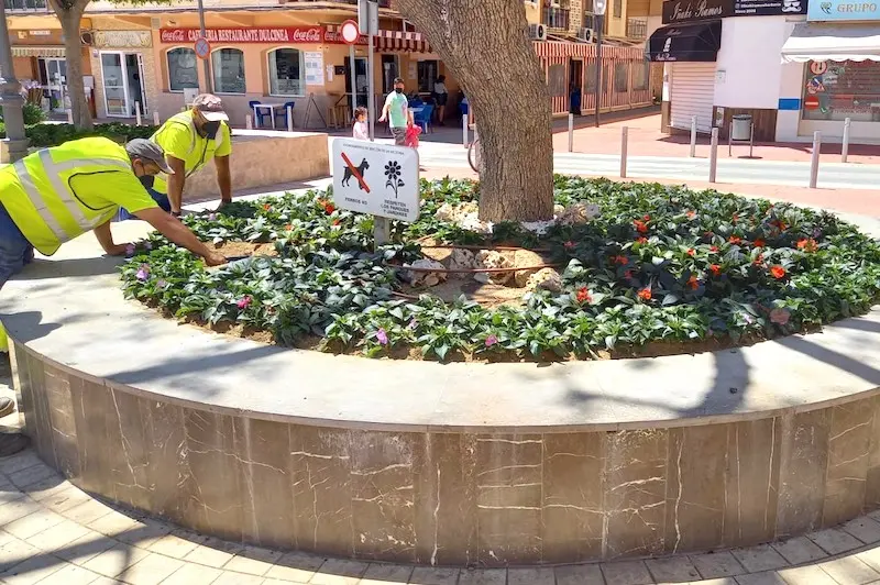 Parterre ornamental en plaza Al-Ándalus