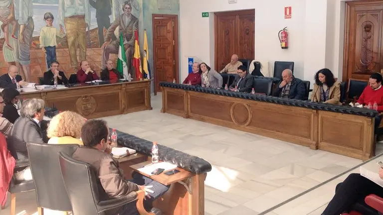 Pleno de 9 de febrero de 2015