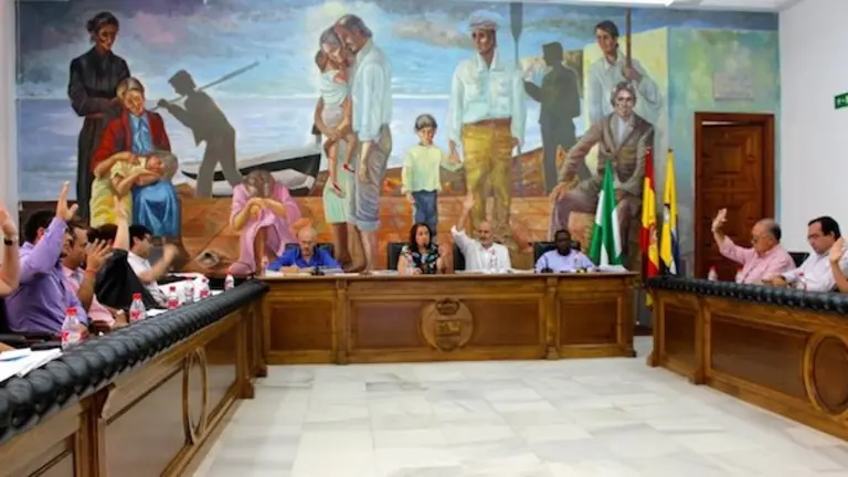 Pleno 14 Julio 2015 6088