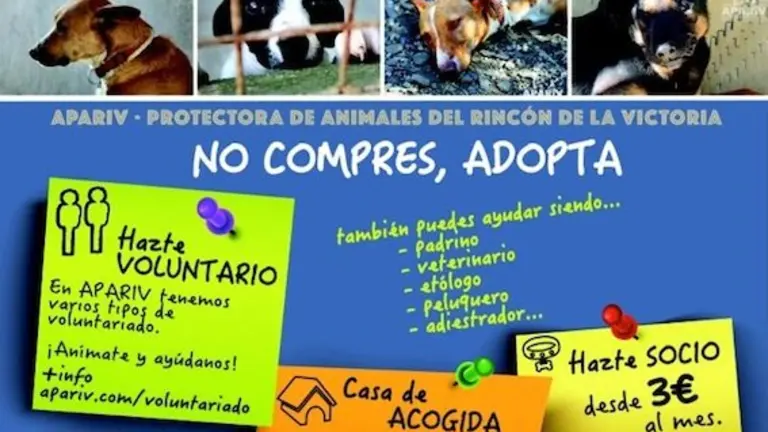 Adopta Rinc&oacute;n