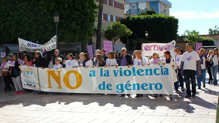 Marcha 25N 2015
