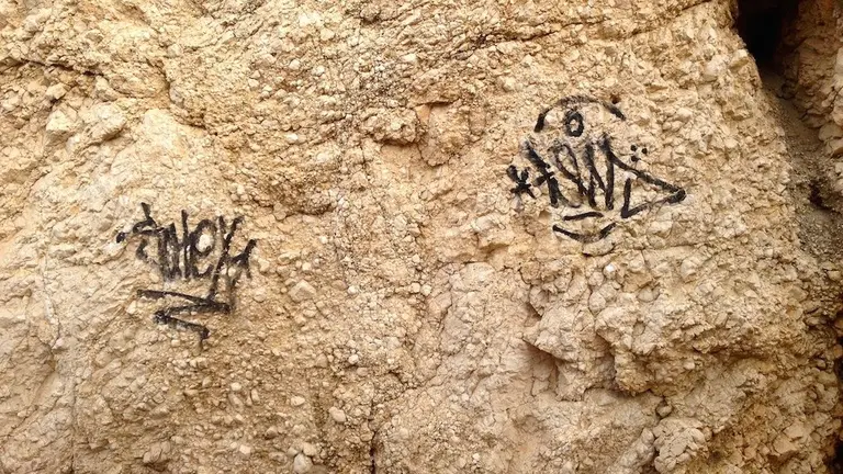 VANDALISMO_2217