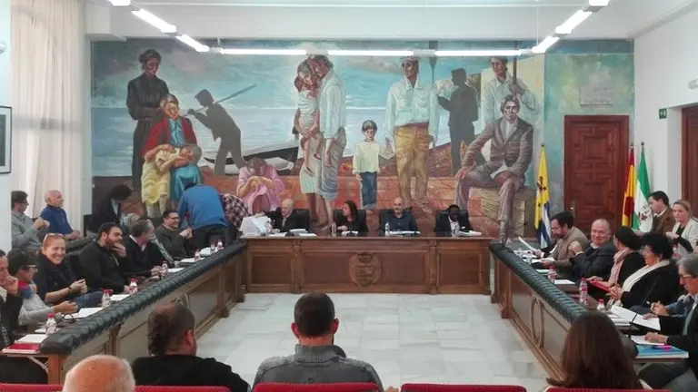Pleno febrero 2016