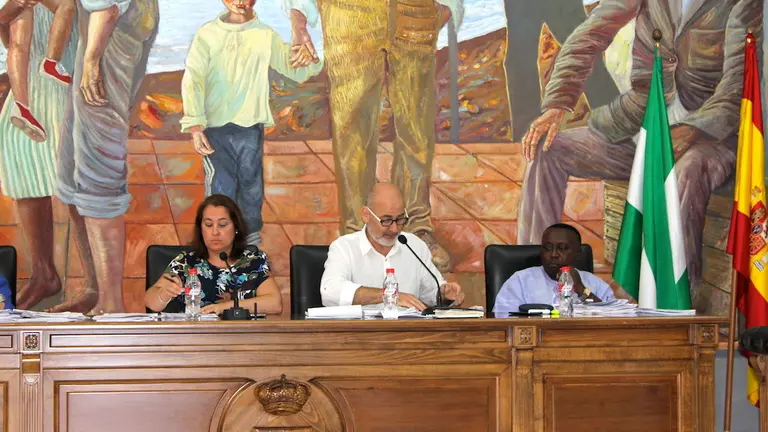 Pleno Ayuntamiento Rinc&oacute;n de la Victoria 6058 copia