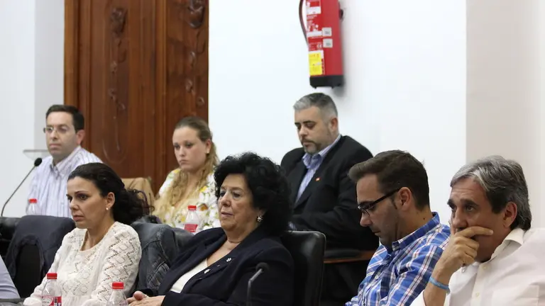 Pleno Octubre 2015