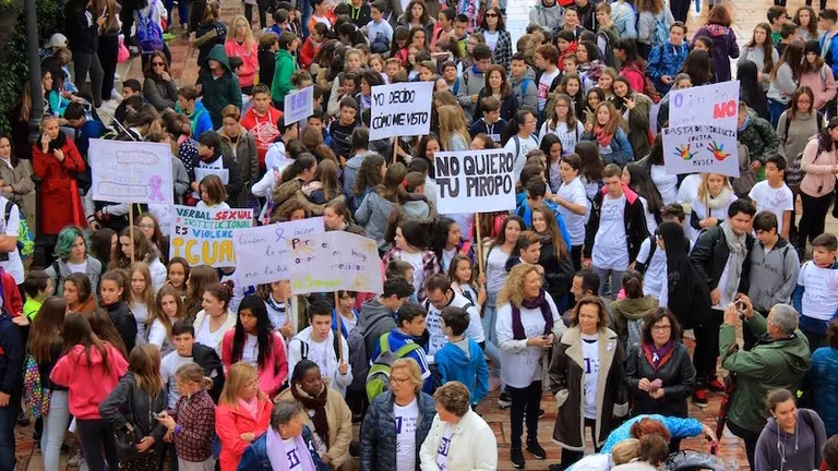 25N - Marcha contra la violencia de Genero