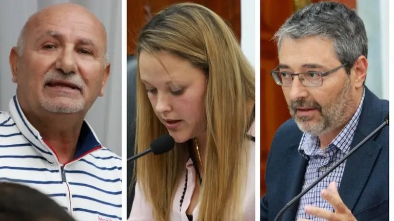 Grupos municipales de la oposici&oacute;n 2