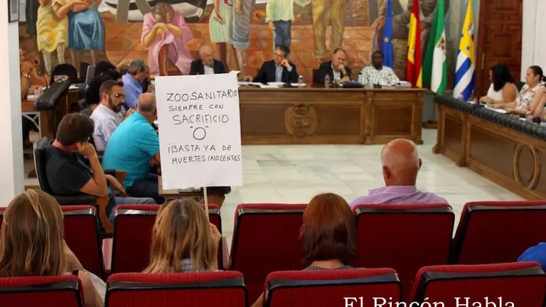 Pleno ordinario de 28 de junio de 2017