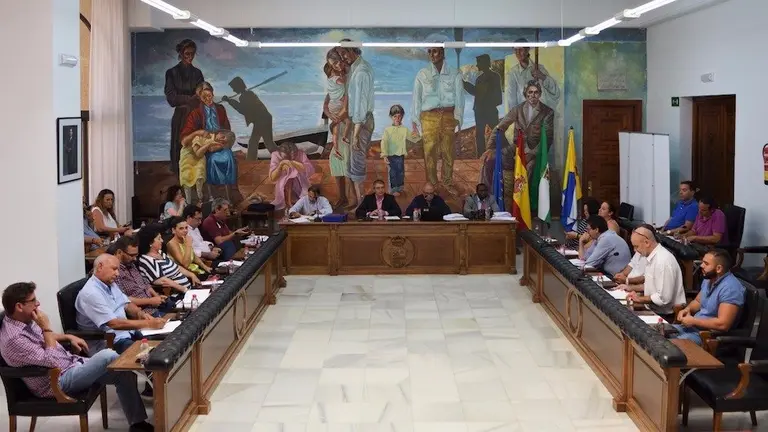 Pleno del Ayuntamiento de Rinc&oacute;n de la Victoria
