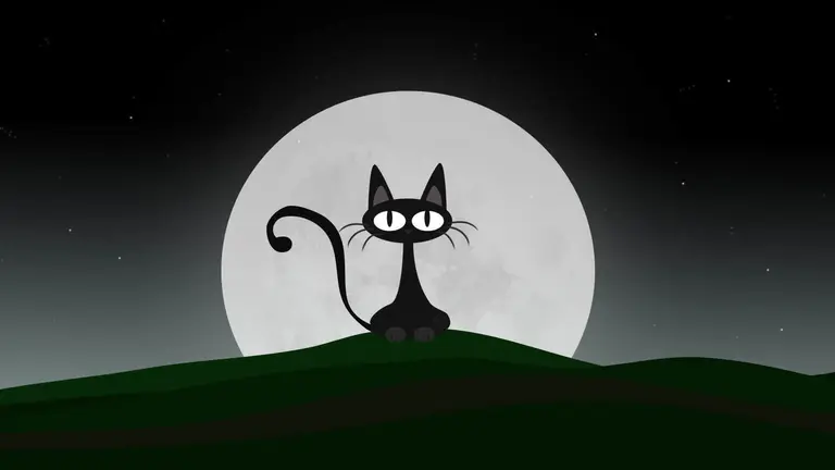 Gato Noct&aacute;mbulo