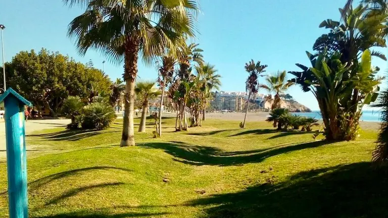 Oasis Playa_1152