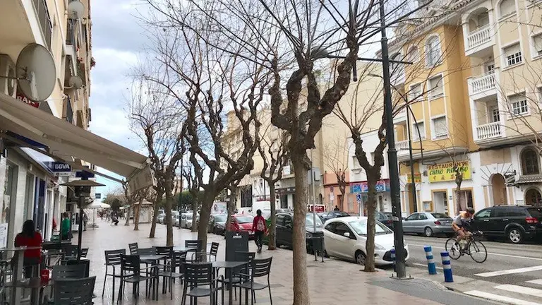 Moreras en la Avenida del Mediterraneo_1959 copia