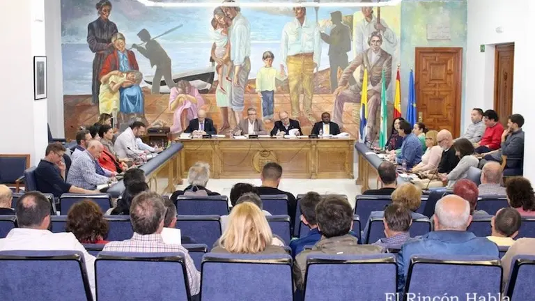 Pleno Extraordinario noviembre 2018