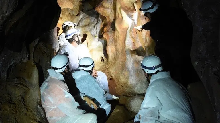 Visita Sala del Dosel-Mano Paleolitica