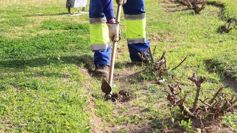 Mantenimiento de jardines