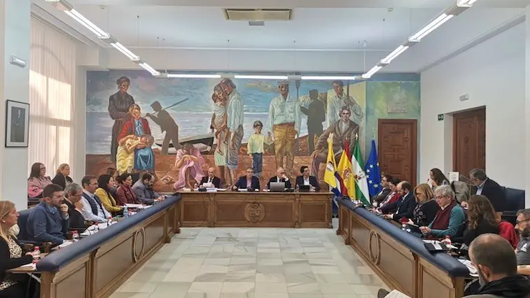 Pleno Extraordinario del Ayuntamiento de Rinc&oacute;n de la Victoria