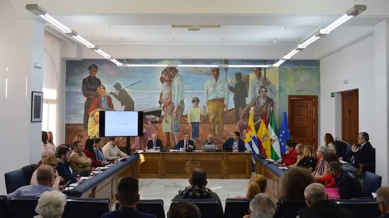 Pleno 30 de enero de 2020