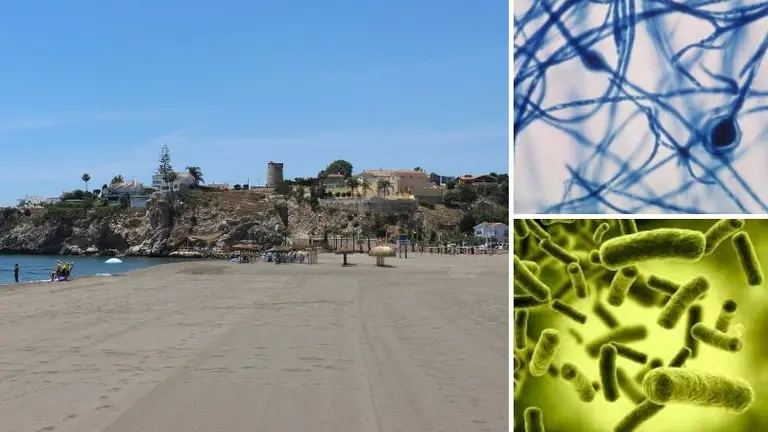 Analisis de la playa