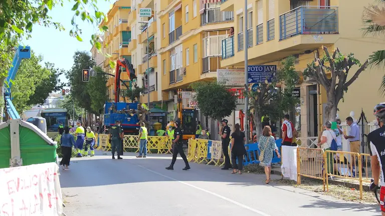 Tala de &aacute;rboles en la avenida de M&aacute;laga, La Cala del Moral