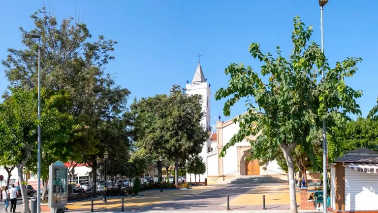 Moreras de la plaza de la iglesia de La Cala del Moral