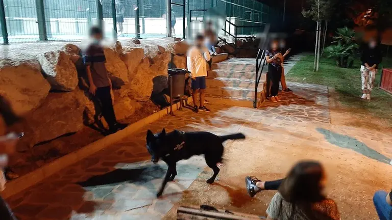 Unidad canina en una actuaci&oacute;n