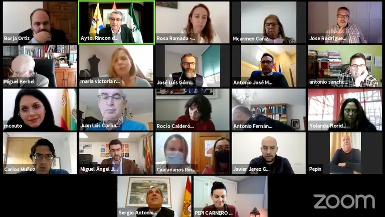 Pleno Ordinario telem&aacute;tico. Enero 2021