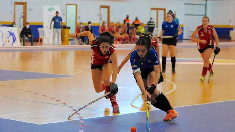 Un momento de un partido de Hockey del pasado mes de diciembre.