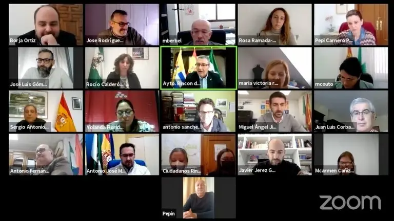 Pleno ordinario febrero 2021
