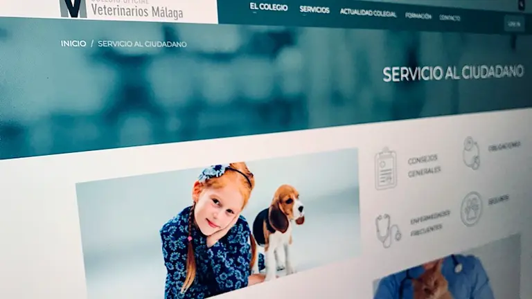 Web del Colegio de Veterinarios de M&aacute;laga