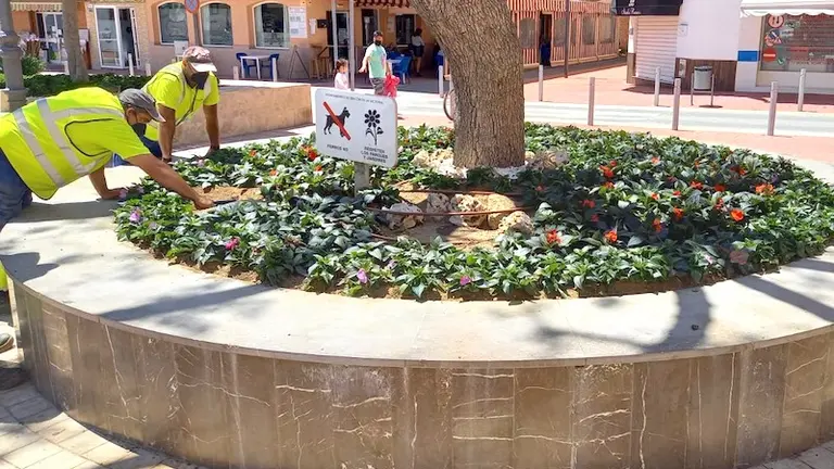 Parterre ornamental en plaza Al-&Aacute;ndalus
