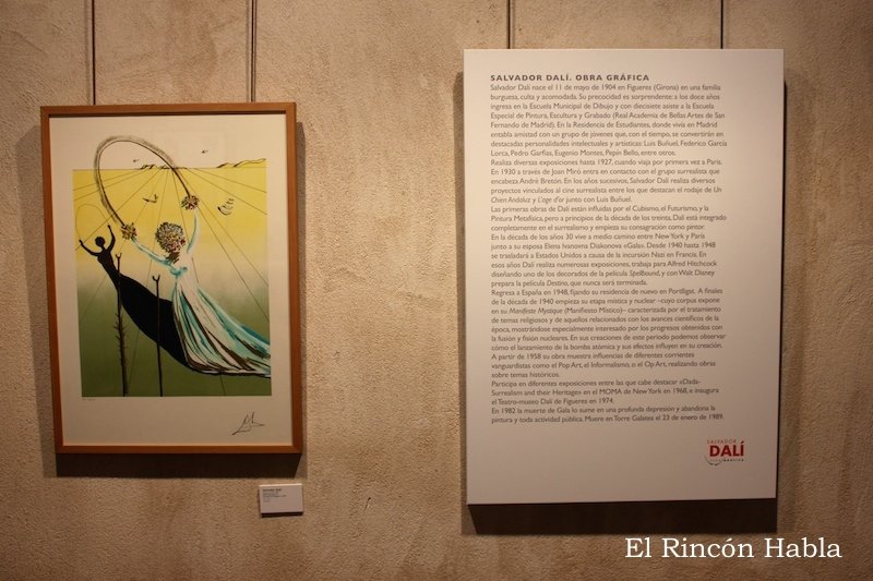 muestra Dalí y Don Quijote_8036