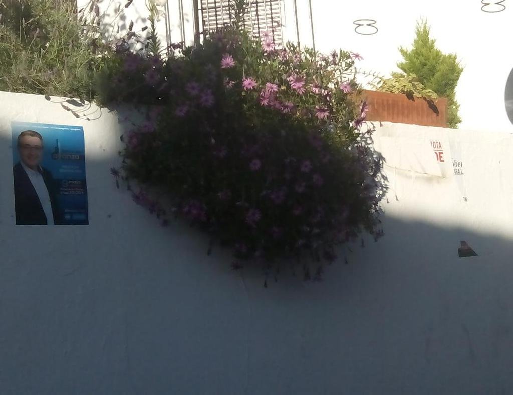 carteles pared II