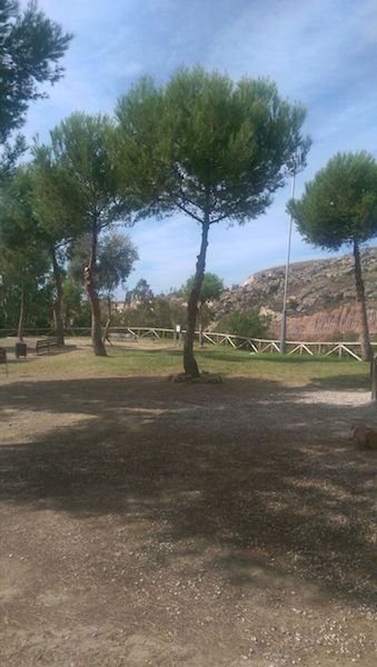 Limpieza en Parque del Rosario