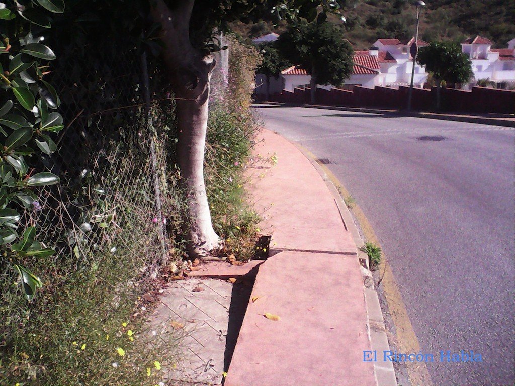 Calle Estados Unidos feb 2016
