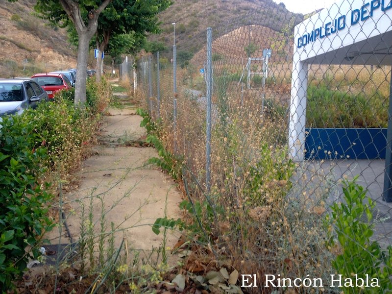 Acera Campo de Rugby_4164