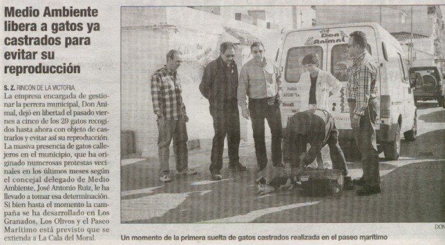 articulo005