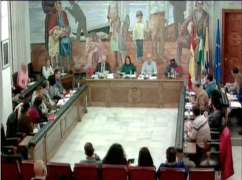 Pleno 25 Enero 2017