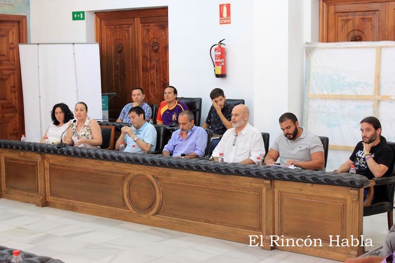 Pleno 28 de junio de 2017 - 3 de 5