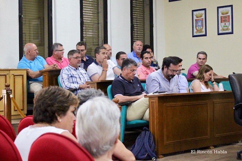Pleno Mancomunidad_4727