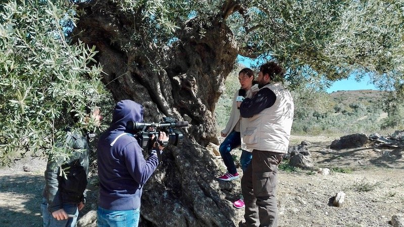 Reportaje Periana Andalucia Directo_20160331_123548