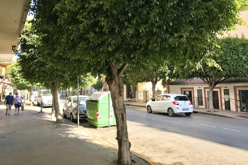 Sombra de árboles en la Cala